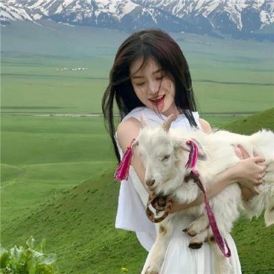 恶师损友